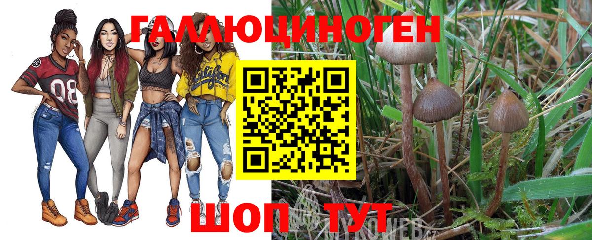 Галлюциногенные грибы мицелий Слободской